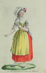 Demokrati med menneskerettighederne af august 1789 swed
